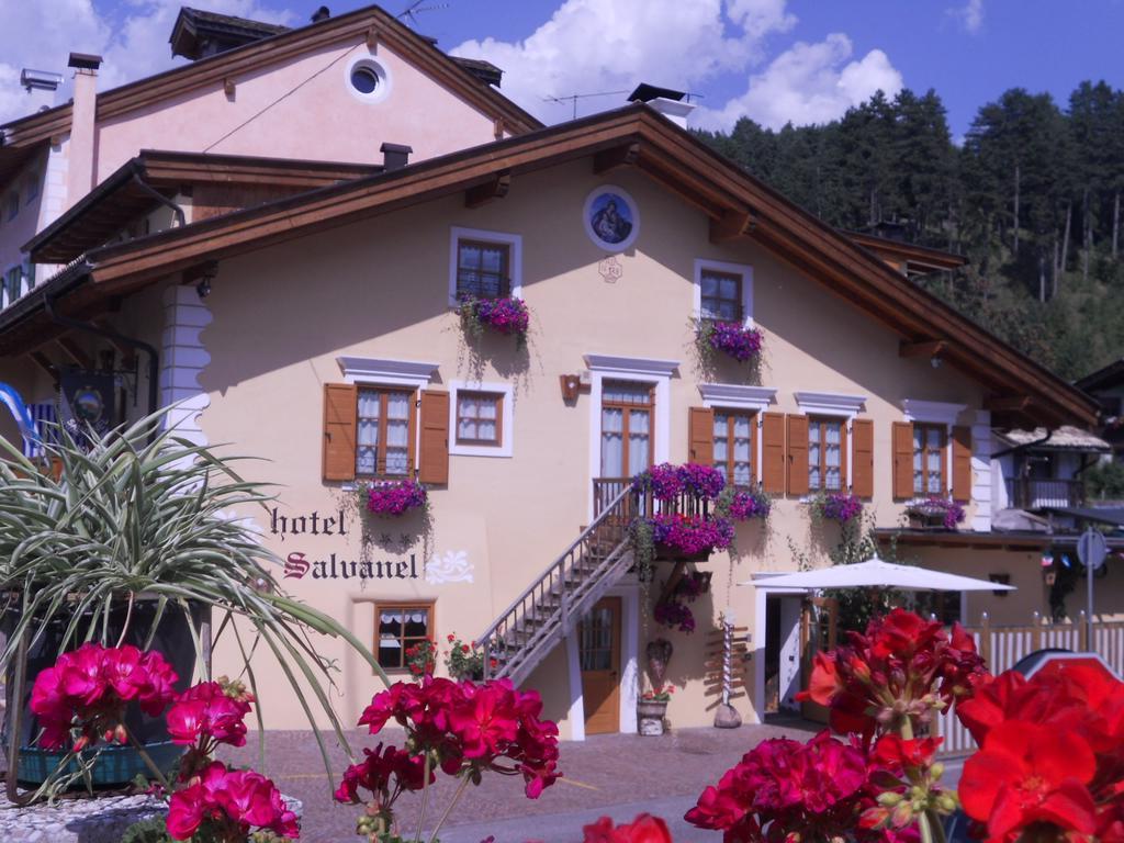 Hotel Garni Salvanel Cavalese Zewnętrze zdjęcie