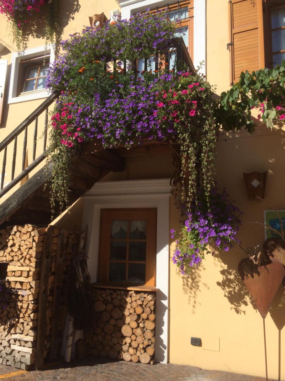 Hotel Garni Salvanel Cavalese Zewnętrze zdjęcie